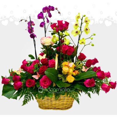 Arreglo Floral Con Rosas Y Orquídeas A Domicilio En Cali Pedido Con Un Día De Anticipación 