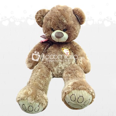 Peluches Cali Osito Chocolate A Domicilio En Cali Pedido Con Un Día De Anticipación 
