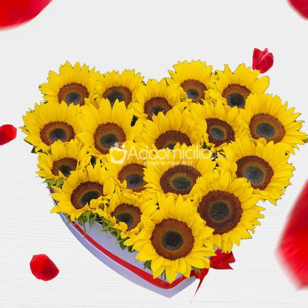 Corazón De Girasoles Para Amor Y Amistad A Domicilio En Bogotá Pedido Con Un Día De Anticipación 