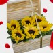 Regalo Con Girasoles Para Amor Y Amistad A Domicilio En Bogotá Pedido Con Un Día De Anticipación 