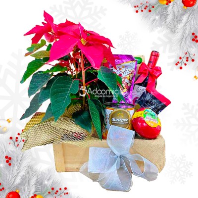 Ancheta Navideña Con Planta A Domicilio En Medellín Pedido Con Un Día De Anticipación 