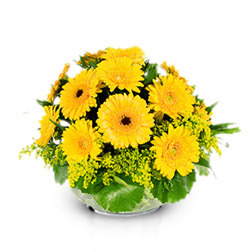 Arreglo Floral De Gerberas A Domicilio En Cali 